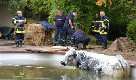 Secours Les Sapeurs Pompiers Du Haut Rhin Se Recentrent Sur Lurgence