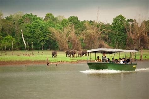 Travel Guide for Nagarhole National Park (Kabini Wild Life Sanctuary)