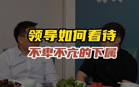 领导是如何看待不卑不亢的下属的？ 三颗葱啊 三颗葱啊 哔哩哔哩视频