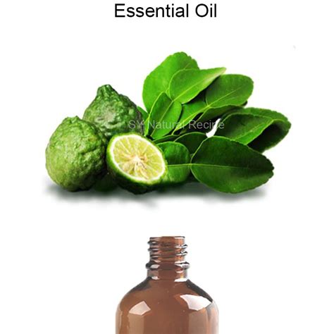 100 Pure Kaffir Lime Leaf Essential Oil 麻疯柑叶 泰国青柠精油 10ml 50ml 100ml Shopee Malaysia