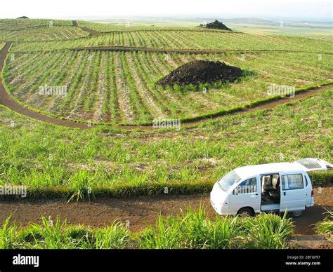 Sugar Cane Plantations Fotos Und Bildmaterial In Hoher Aufl Sung Alamy