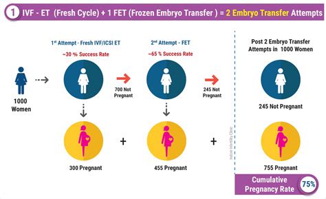 Ivf Success Rate Amongst The Highest Success Rate In Ivf