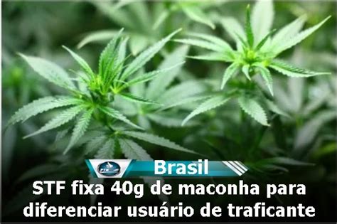 Stf Fixa 40g De Maconha Para Diferenciar Usuário De Traficante Ptn News