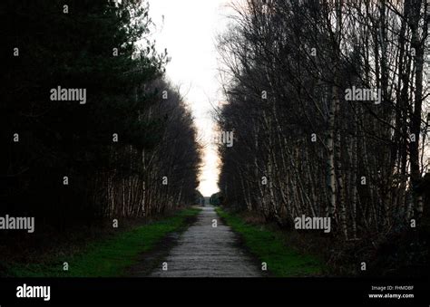 Incidente Ovnis Bosque Rendlesham Fotografías E Imágenes De Alta