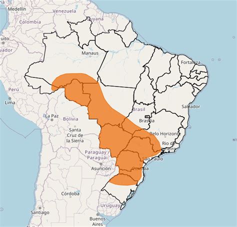 Alerta Vermelho No Rs Onda De Calor E Baixa Umidade Veja Previsão