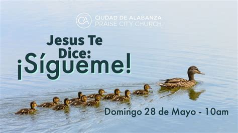 Jesus Te Dice Sigueme Domingo 28 De Mayo 2023 Jesus Tells You