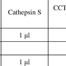 Enzyme activity assay protocol | Download Scientific Diagram