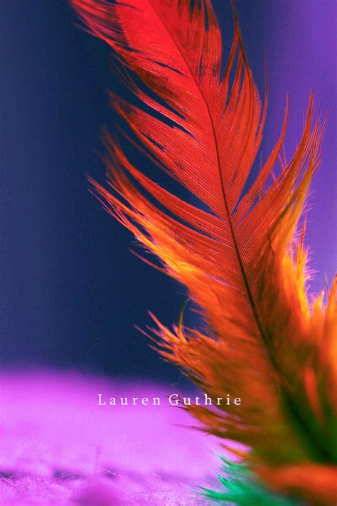 Feather - Photography Photo (9609185) - Fanpop