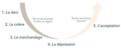 Les Phases De La Gestion Du Deuil Deuil Phase Du Deuil Gestion Hot