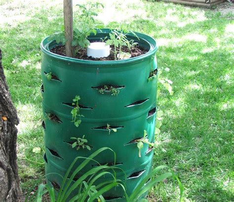 simple chicken house: Diy Barrel Chicken Feeder