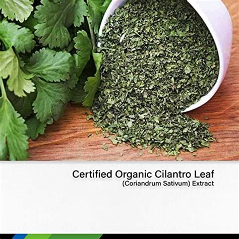 Mauwe Herbs Cilantro Supplement Organic Cilantro Leaf Capsules