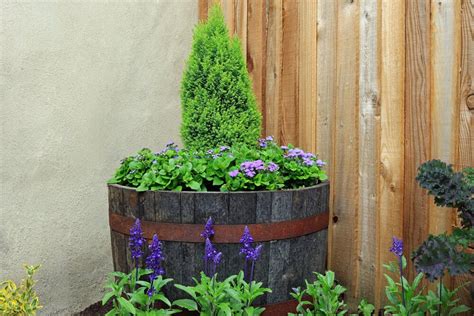 9 Whiskey Barrel Planter Ideas Thatll Brighten Up Your Homestead Theworldofsurvivalcom