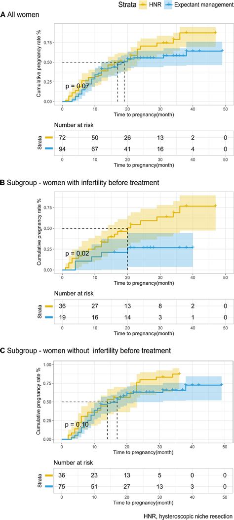 Fertility Outcomes After Hysteroscopic Niche Resection Compared With