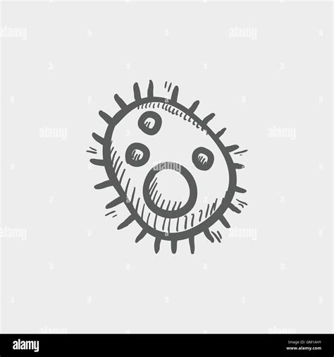 Bacteria Sketch Icon Stock Vector Image Art Alamy