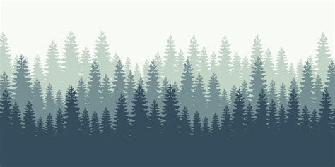 Forest Background Nature Landscape Evergreen Coniferous Trees Pine