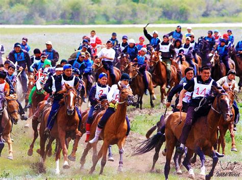 Аламан Байге » WildTicket Asia - Tourist Service in Kazakhstan