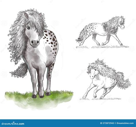 Horses Sketch with Watercolor Style Colored Illustrations Stock ...