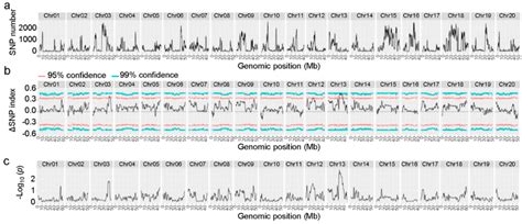 Distribution And Plot Of SNPs A Distribution Of All SNPs On Twenty