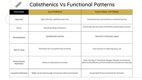 A Comprehensive Look At Calisthenics Workouts – Functional Patterns