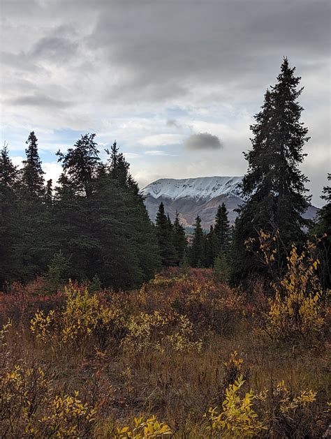 Sept Denali Savage Loop Trail Alpine Savage Trail Flickr