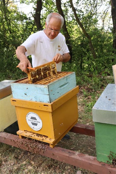 Miele Biologico Italiano D Abruzzo Apicoltura Colle Salera