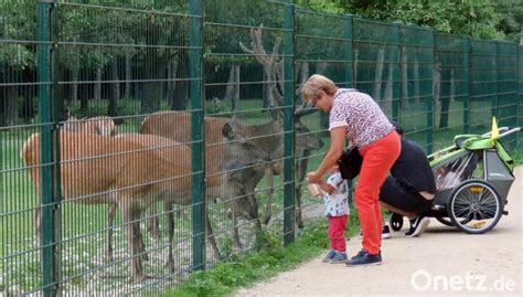 Neues Herzstück für den Wildpark Höllohe Onetz