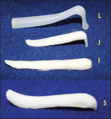 Types of silicone nasal implant | Download Scientific Diagram