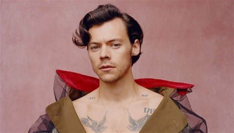 Harry Styles Wiki Bio Facts Age Height Girlfriend Net Worth