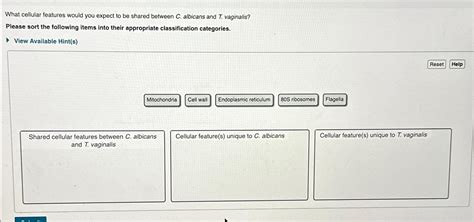 Solved What Cellular Features Would You Expect To Be Shared Chegg