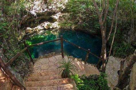 Cenotes Zapote Consulta Disponibilidad Y Precios