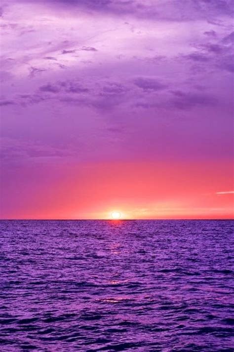 47 best images about Purple Sunset on Pinterest | Purple things, Nature ...