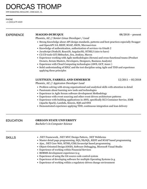 Developer Lead Resume Samples Velvet Jobs