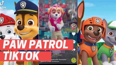 Paw Patrol La Pat Patrouille Tik Tok Compilation YouTube