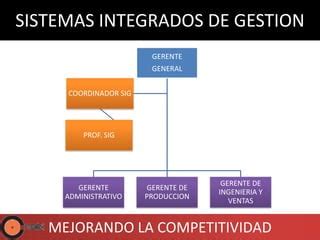 Sistemas Integrados De Gestion Ppt