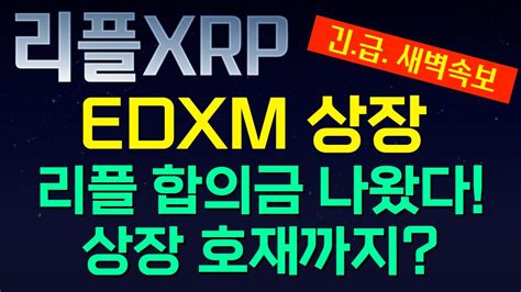 리플 Xrp 리플 합의금 나왔다 상장 호재까지 이번 영상은 꼭 시청하세요 Youtube