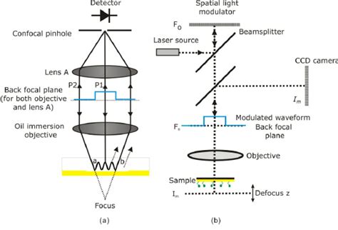 A Simplified Schematic Showing Operation Of Confocal Microscope With Download Scientific