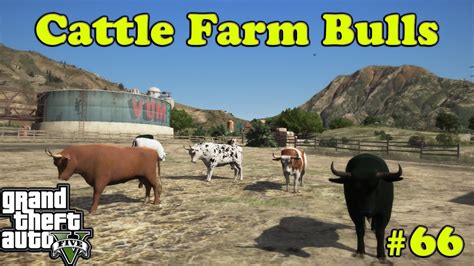 How To Install Cattle Farm Bulls Mod In Gta 5 Pc Gta 5 Mods Soul Of