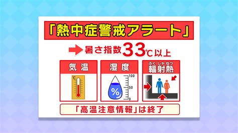 危険な暑さ！熱中症警戒アラートが今年最多の20都県に発表 新しいことまとめ