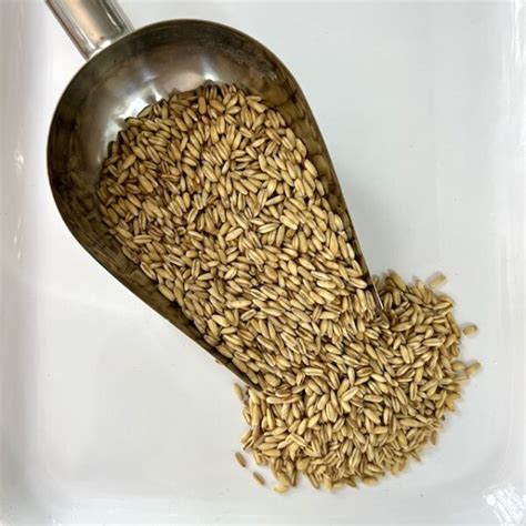 Dehulled Oats Grits The Osem Shop