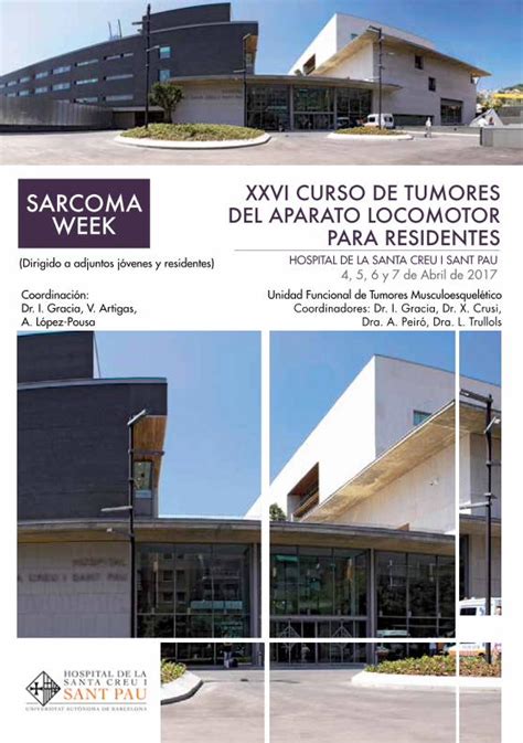 Pdf Sarcoma Xxvi Curso De Tumores Week Del Aparato Locomotor