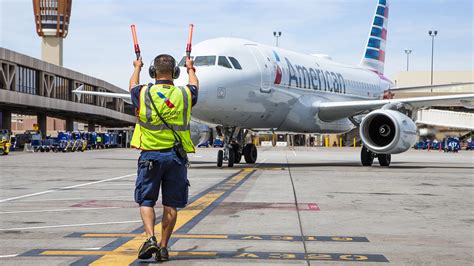 Miniature horse works as service animal on American Airlines flight