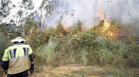 Extinguidos Los Tres Incendios Forestales De Bizkaia