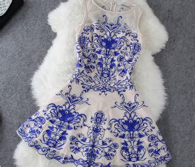 The Blue And Nude Porcelain Sleeveless Dress Lace Embroidery We Po On Luulla