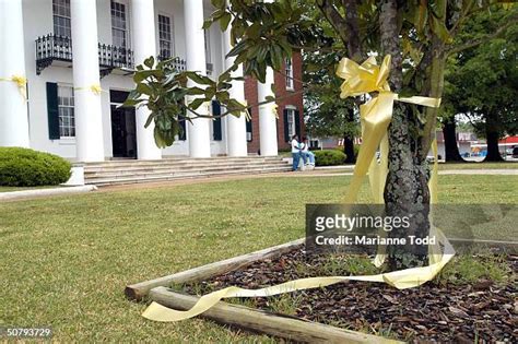 Noxubee County Photos and Premium High Res Pictures - Getty Images