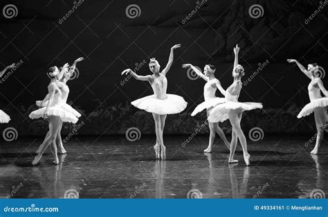 Swan Wakes Up The Last Scene Of Swan Lake Ballet Swan Lake Editorial Photo Image Of Elegant