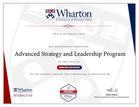 Advanced Strategy And Leadership Program 6 Month Immersive Experience