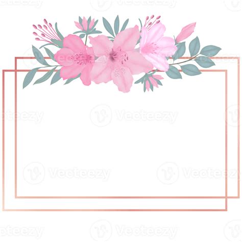 Hand Drawn Pink Azalea Blooms Spring Flower Illustration Png