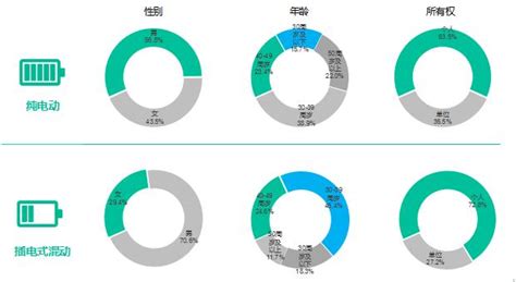 數說｜微型轎車嚴重縮水 新能源市場或重新洗牌 每日頭條