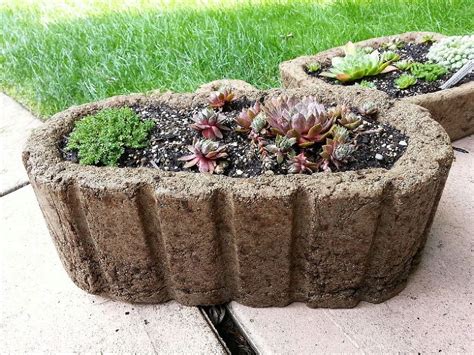 Planting Up Some Hypertufa Planters These Are A Few More Of My Regular Hypertufa Containers