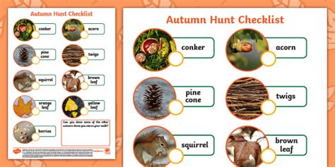 Autumn Spotter Sheet Twinkl Autumn Eyfs Nature